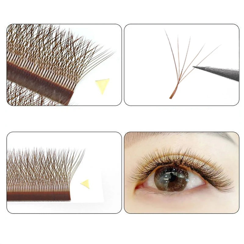 MARIA Brown 5D W Shape Type Eyelash Extensions Colorful
