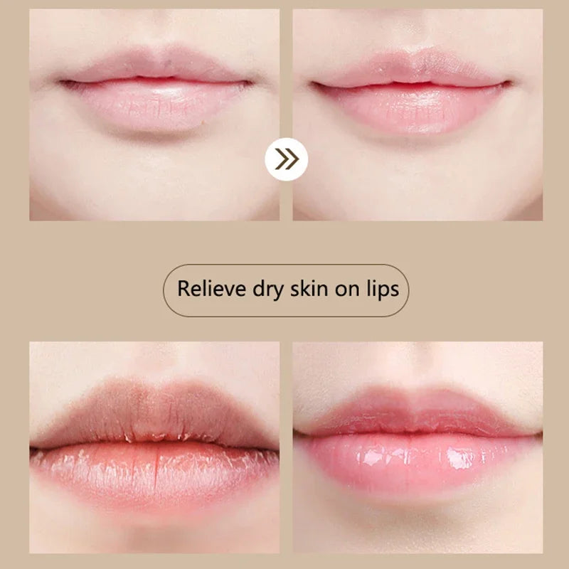 Long Lasting Natural Lipbalm Fruit Flavor Moisturizing Not Greasy Lipgloss Anti Drying Nourishing Lip Men and Women Lip Balm