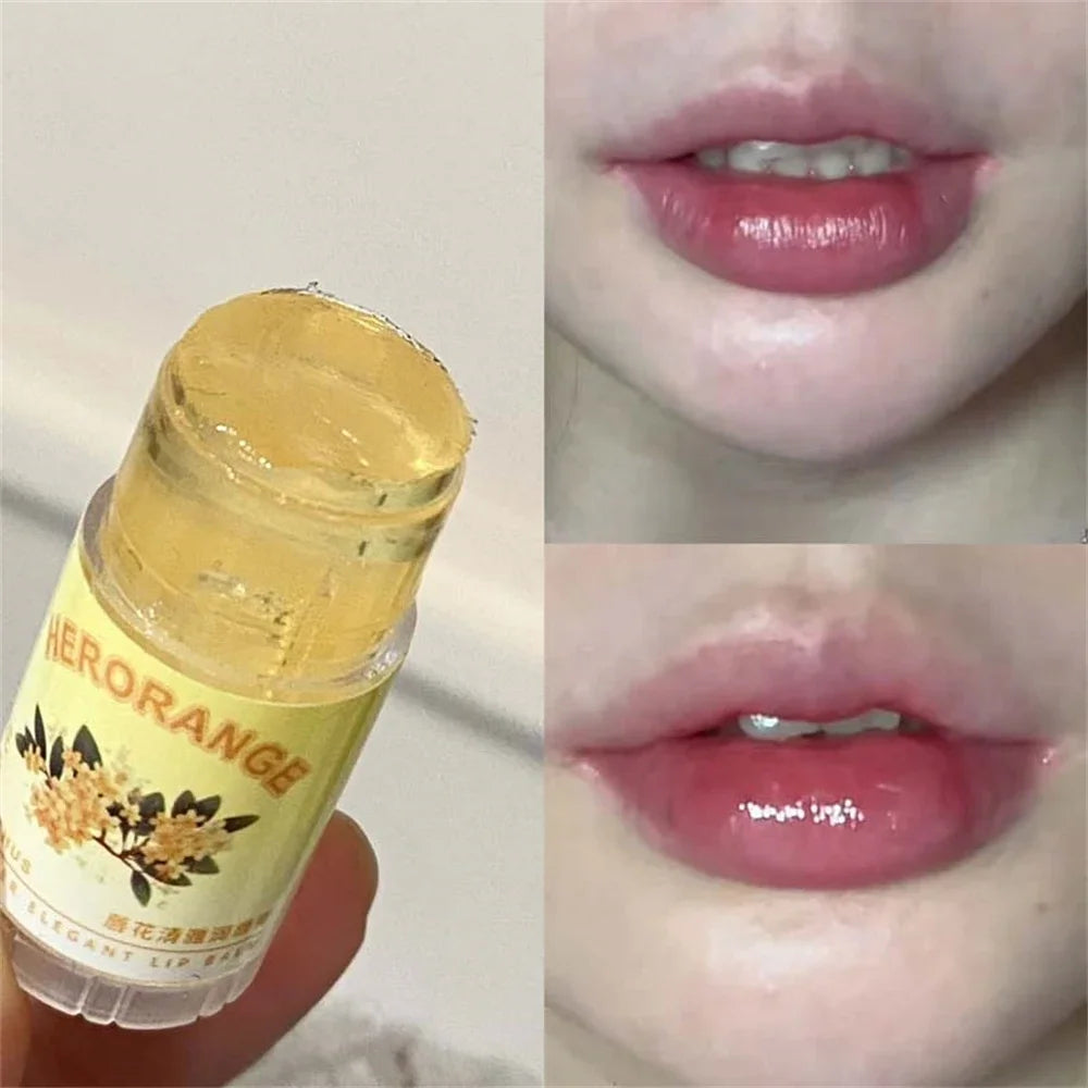 Transparent Coconut Fruit Lip Balm Lip Care Moisturizing Fade Fine Lines Jelly Lip Gloss Lipstick Anti-drying Hydration Makeup