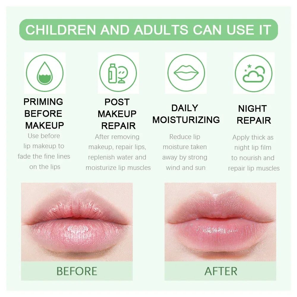 18 Sytle Fruit Lip Balm Lip Oil Moisturizing Clear Anti-Wrinkle Lipstick Long Lasting Hydrating Lipgloss Cosmetic Lip Gloss Care
